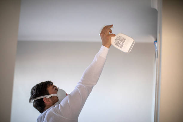 Best Affordable Mold Removal  in Rolling Hills Estates, CA