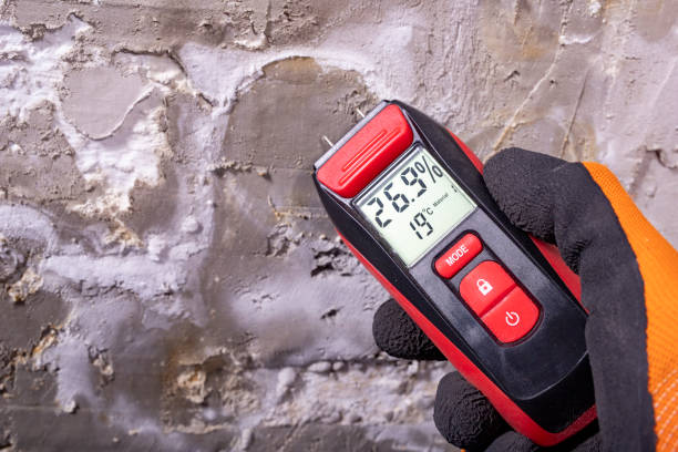 Home Mold Removal in Rolling Hills Estates, CA